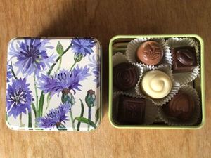 Scilla Chocolates Cornflower Tin 6pc