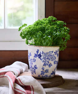 Garden: Blue Floral Herb Pot Large
