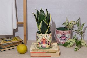 Gifts: La La Land - Field Trip Butterfly Planter