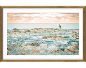 Wall Art: Kangaroo at Sunset