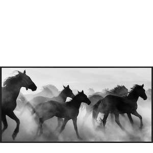 Wall Art: Wild Horses canvas