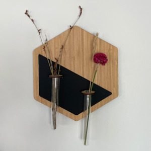 Frontpage: Hexagonal test-tube vase wall hanging
