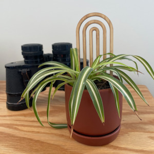 Plant trellis - 3 pack