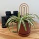 Plant trellis - 3 pack