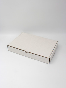 Products: E Commerce 305 Corrugated A4 - BoxKraft