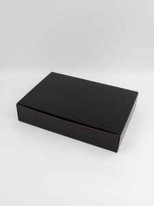 Products: E Commerce 310 Black - BoxKraft