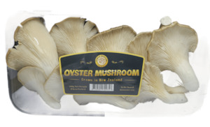Mushrooms Oyster 100g