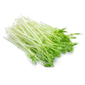 Salad Sprouts Snowpea Pp 100g
