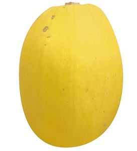 Pumpkin Squash Spaghetti Each