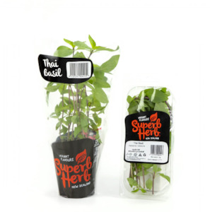 Herbs Cut Thai Basil Sh Pp 15g
