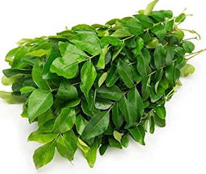 Fresh Herbs 1: Herbs Curry Leaves P/P