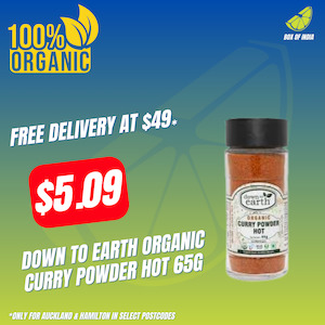 Organic Curry Powder Hot 65g (Down To Earth)