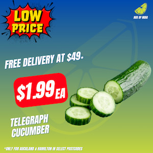 Low Price Fresh Produce: Cucumber Telegraph (Product of New Zealand)(Small Size)