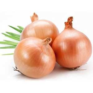 Fresh Veggies 1: Brown onion Per Pack 10Kg
