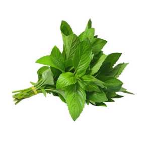 Mint 2 Bunches