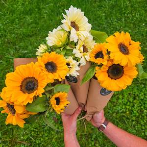 Classic Sunflower Bouquet