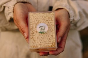 Products: Comb Honey 220g - Branch Creek Honey