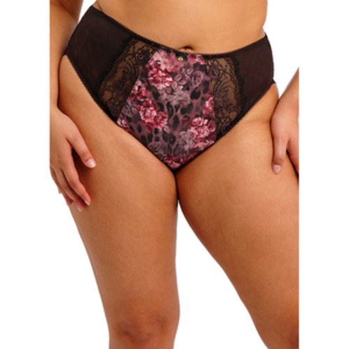 BRIEFS Everyd: Elomi Morgan Hi Leg Brief - BRIEFS-Fuller Figure Briefs : Hot Gossip - NZ Bra Online Bra - Elomi