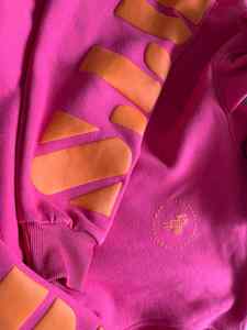 Pre-Order Raspberry Affiliation Hoodie