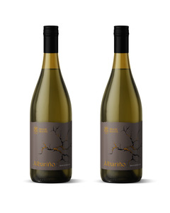 2025: Albarino 2 bottle set