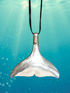 Whale Tail