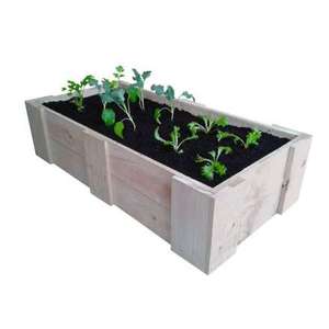 Planters: RAISED VEGETABLE PLANTING BED (1200L x 600W x 300H)
