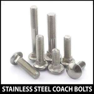 Stainless Steel Coach Bolts - Large