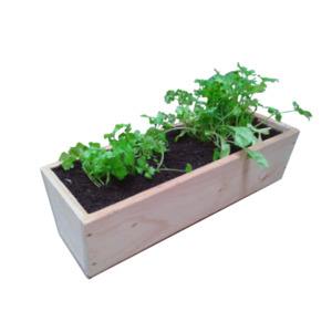 Products: Macrocarpa Herb Planter - 600L