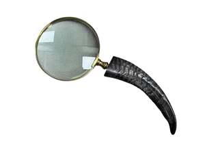 Home Living Decor: Horn Magnifying Glass Gold Case