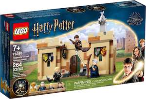 Harry Potter: LEGO Harry Potter 76395 Hogwarts: First Flying Lesson
