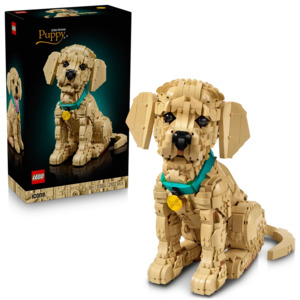 Lego Icons: LEGO Creator Expert 11384 Golden Retriever Puppy