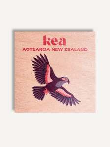 Latest Artworks: Kea Mountain Parrot New Zealand Fridge Magnet
