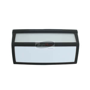 Entrance And Entry Area: CUBE 12W Modern Exterior Wall Light