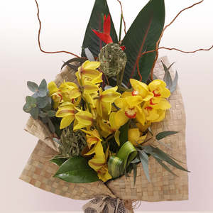 Congratulations: Tena Koutou