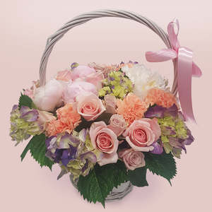 New Born 1: Pretty in Basket