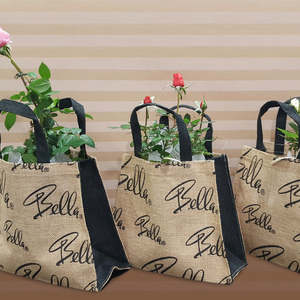 Plant: Rose Pot with Eco Bag