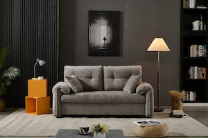 Rome 2 Seater Roll Out Sofa bed - Silver