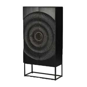 Display Cabinet Bookcase: Hype 2 Door Cabinet