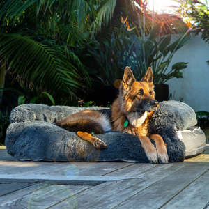 Pets: Brooklyn® Chew Resistant Luxe Lounger (2-in-1 Dog Bed)