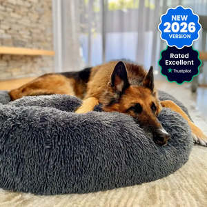 Pets: Brooklyn® Deep Sleep Pet Bed