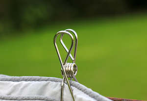 Household: Stainless Steel Pegs x 20