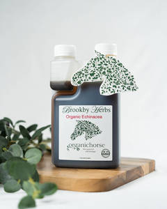 Horse Remedies: Echinacea Organic Plus for Horses – Natural Immune & Respiratory Support