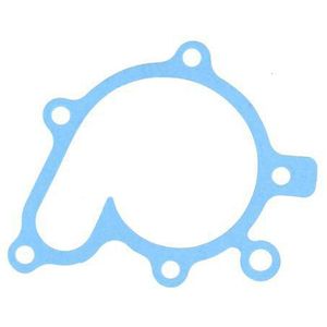 Water Pump Gasket