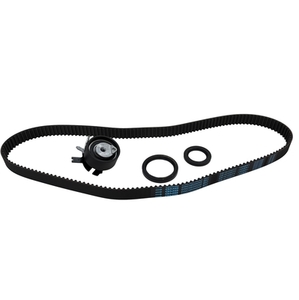 Timing Belt Service Kit