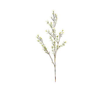 Wax Flower 78cm