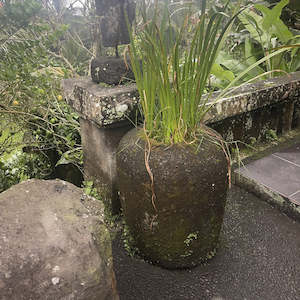 25463 Concrete Pot 550 x 500 x 600H