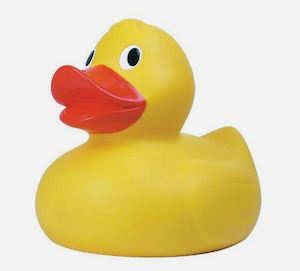 Products: Giant Rubber Duck