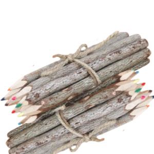 Wooden Toys: Bunch of 10 Coloured Pencils