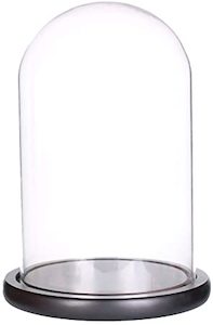 Domes Cloches: Glass Dome with Black Wooden Base (Various Sizes)