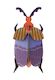 Queen Beetle Wall Art by Studio ROOF